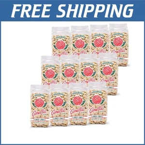 Versatile Dried Large Lima Beans - 1 Pound Pack of 12 for Every Recipe - Picture 1 of 7