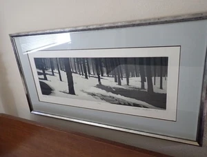 Stephen McMillan Large Aquatint Etching Framed Spring Thaw Signed 24/100 18”x33” - Picture 1 of 6