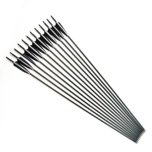 6/12Pcs 32" Carbon Shaft Arrows W/True Feather SP550 Archery F Recurve/Long Bow - Picture 1 of 10