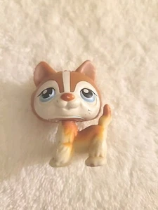 LPS Huskey Dog Orange And White #341 Blue Eyes - Picture 1 of 2