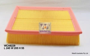 Air Filter to suit Land Rover Discovery II 4.0L V8 02/99-2005 - Picture 1 of 1