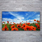 Canvas Print Wall Art On 120x60 Image Picture Meadow Poppies Floral