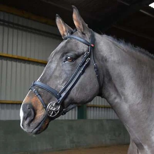 Whitaker Ready To Ride Snaffle Bridle - Picture 1 of 9
