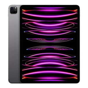 Apple iPad Pro 12.9" 6th Gen 512GB Gray MP623LL/A WiFi + Cellular Very Good (ME) - Bild 1 von 2
