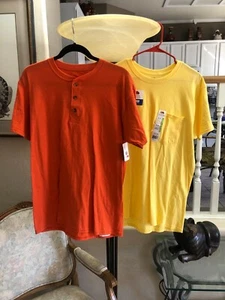 2 NWT Short Sleeve Medium Size Tshirts - 1 Fruit of the Loom & 1 Hanes Classic - Picture 1 of 17
