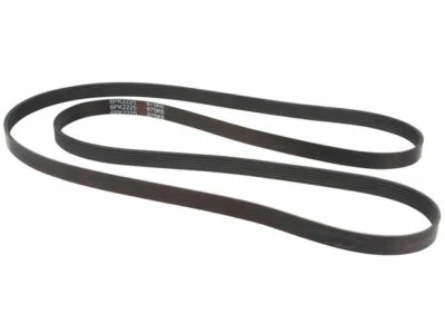 Cinturón Dayco 75371GV 1998 5,7 L V8 para Chevrolet K1500 Suburban 1997-1999 Foto 1 de 2