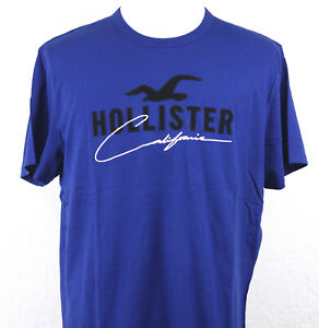 Hollister With Embroidered Logo T-shirt Crew Neck Short Sleeve