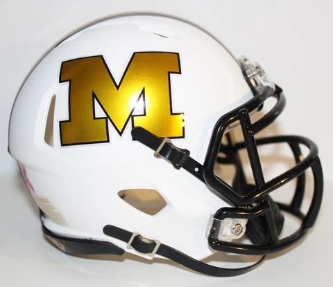 2020 Mizzou Missouri Tigers Custom Riddell Mini Helmet vs Florida Cover