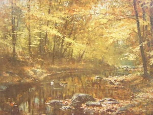 Robert Abbett Wood Duck Autunno Firmato Edizione Limitata Stampa artistica Wildlife - Foto 1 di 2