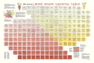 De Long'S Wine Grape Varietal Table - Bild 1 von 12