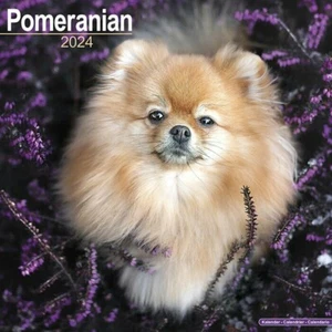 Calendrier 2024 - SPITZ - Picture 1 of 2