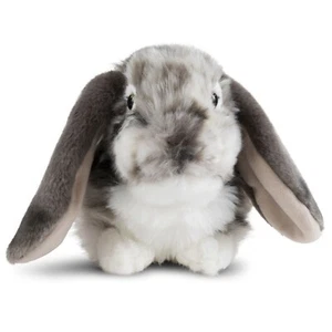 Lop Eared Rabbit Soft Toy Animal Teddy by Living Nature. Bunny Lover Gift 25cm L - Picture 1 of 8