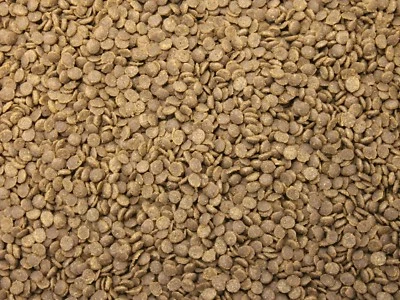 MARKENLOS 250 g Welsgranulat TOP Qualität Wels Gran Fischfutter Schmerlen Welse