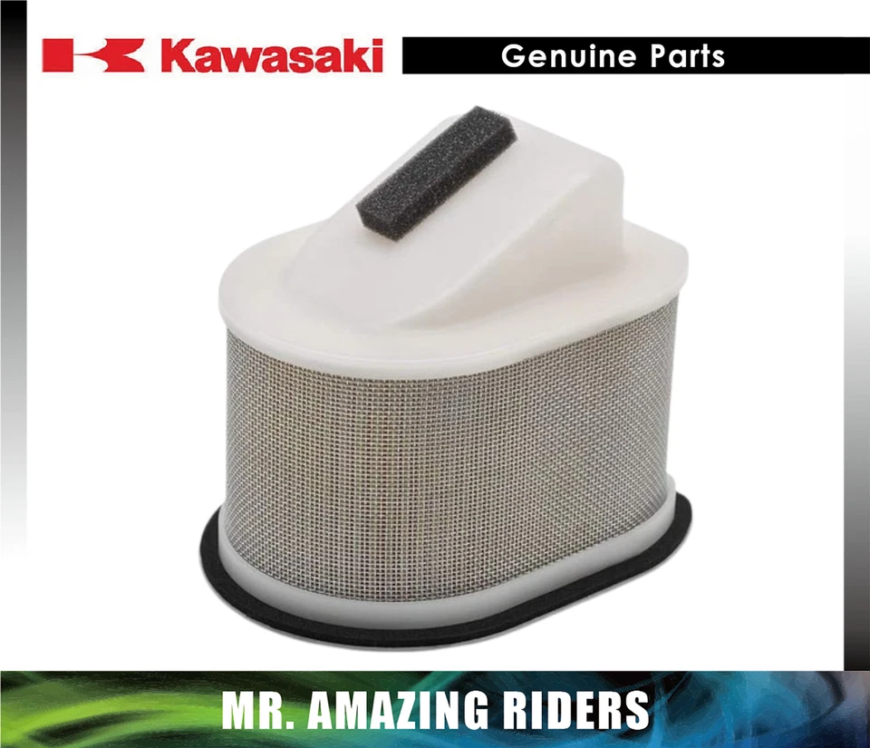 FILTRO DE AIRE KAWASAKI ORIGINAL OEM 2003-2008 Z750S Z1000 ZR750 1000 11013-1302 Foto 1 de 1