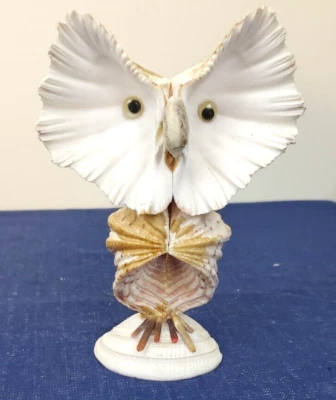 Handmade sea shell owl coastal home decor 6.5 inches - Image 1 of 4