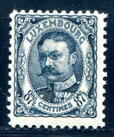 LUXEMBOURG 1906 80 ** MINT IMPECCABLE 87 1⁄2 CENTIMES (F6376 Cover