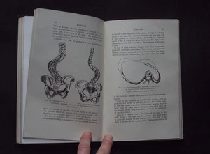 THE THEORY AND PRACTICE OF MASSAGE Health Treatment / Meditation / Medical 1926 - Imagen 1 de 8
