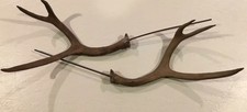 Set/2 • Resin Deer Antler Horn Florist Picks for Floral Arrangements • 19.5”