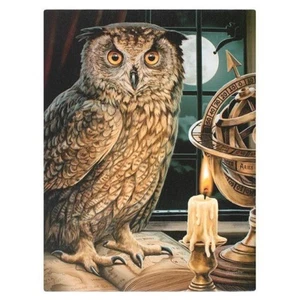 ASTROLOGER LISA PARKER SMALL CANVAS PICTURE ART PRINT GOTHIC STEAMPUNK OWL BIRD - Picture 1 of 2
