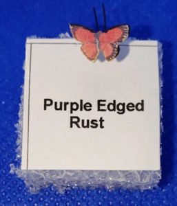 Dollhouse Miniature Purple Edged Rust Butterfly - Handcrafted - 1:12 Scale - Picture 1 of 2