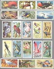 CIGARETTE/TRADE/CARDS. Brooke Bond. TROPICAL BIRDS. (1961). (Complete Set of 50)