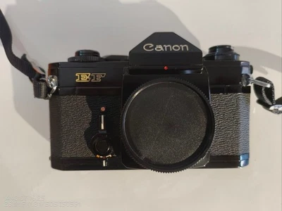 Canon EF 35mm SLR - ANALOG Semi-Professional Camera black Body  no.311836 (rare) - Immagine 1 di 4