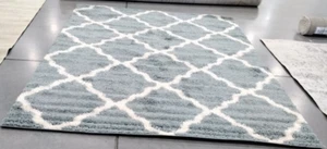SEAFOAM / IVORY 8' X 10' Back Stain Rug, Reduced Price 1172733152 SGDS257C-8 - Picture 1 of 4
