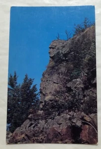 The "Old Man Of The Dalles" Taylors Falls, Minn. Postcard (A2) - Picture 1 of 2