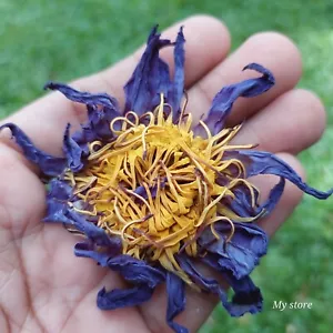 Tè alle erbe naturale/fumo essiccato fiore intero loto ninfea caerulea naturale - Foto 1 di 9