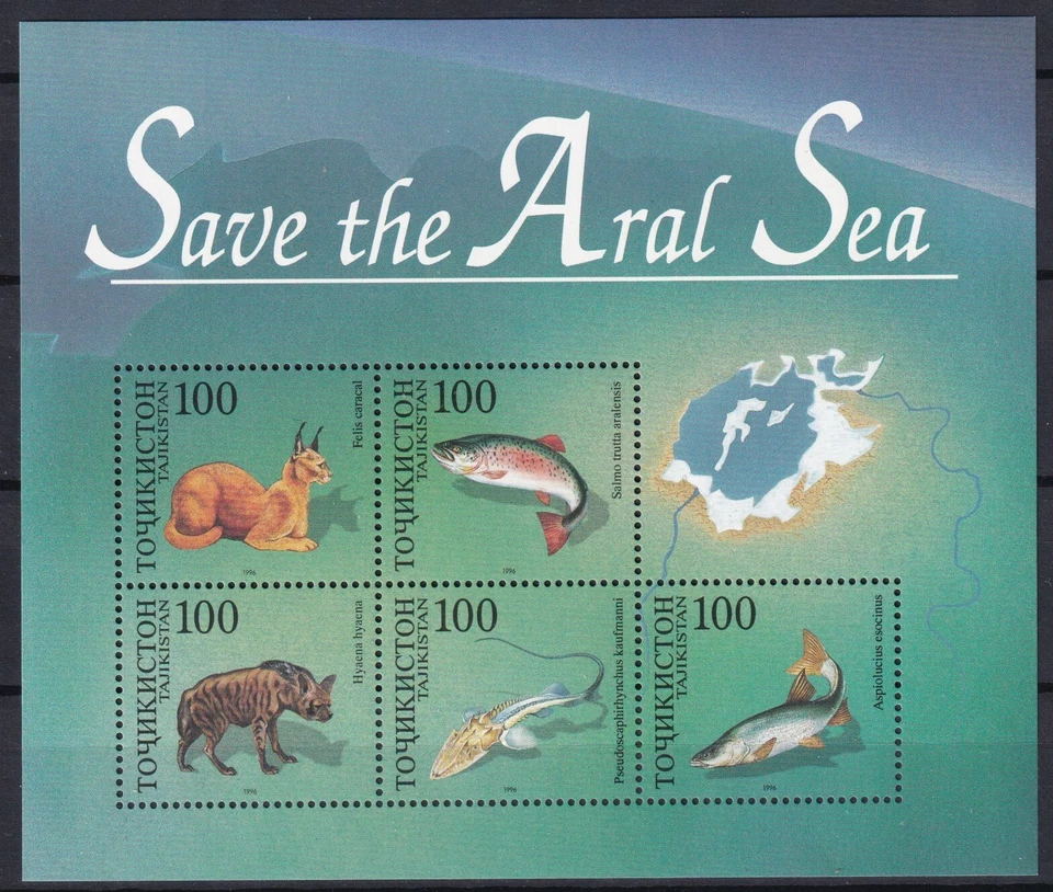 Tajikistan 1996 Fauna, Fish, Animals joint issue MNH Block - Image 1 of 1