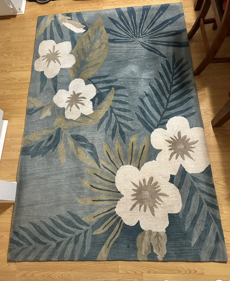 Alfombra de área - Dalyn Rug Company - Poli 5x7,5 - Diseño Maui - Usada/Limpia Foto 1 de 2