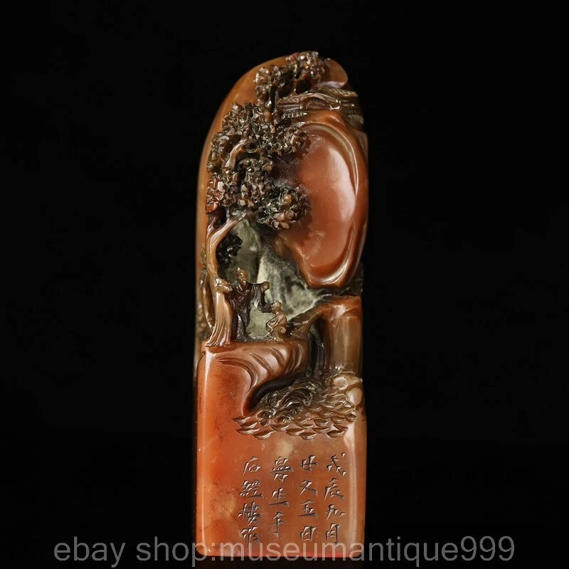 Figura de agua de montaña tallada piedra natural china Shoushan de 4,6" sello Foto 1 de 4