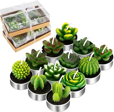 12 Pack Succulent Cactus Tea Lights Candles Delicate Candles for Home Decor - Image 1 of 4