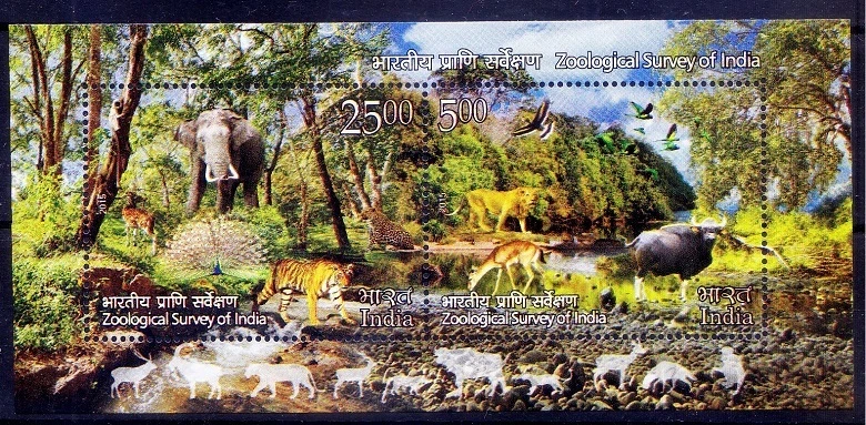 Tiger Dear Elephant Peacock Lion Water Birds Zoological Survey India 2015 MNH SS - Image 1 of 1