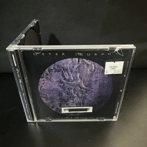 Peter Murphy – The Scarlet Thing In You 1995 Promotional CD Single - Bild 1 von 6