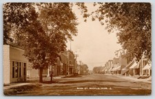 Madelia MN~Hodapp Meat Market~Brown Land & Real Estate~Horse & Wagons~RPPC c1910