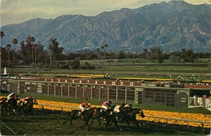 Mid-Race at Santa Anita Park, Arcadia, California Vintage Postcard - Picture 1 of 2