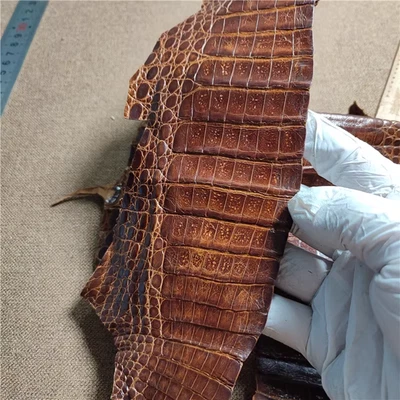 Piel de cocodrilo piel de cocodrilo cuero vientre piel exótica chatarra artesanal Foto 1 de 4