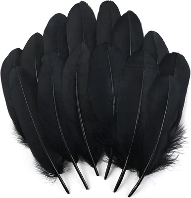 120pcs Black Goose Feathers Natural Bulk 6-8 inch 15-20cm for Crafts DIY Cosplay - Image 1 of 4