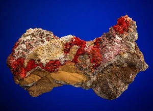 Cinnabar, Manuel Benavides, Chihuahua, México, 1700-163 - Imagen 1 de 5