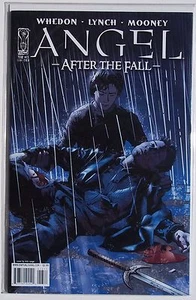 BTVS ANGEL AFTER THE FALL ISSUE #13. COVER B. NEVER READ. BAGGED & BOARDED - Picture 1 of 1