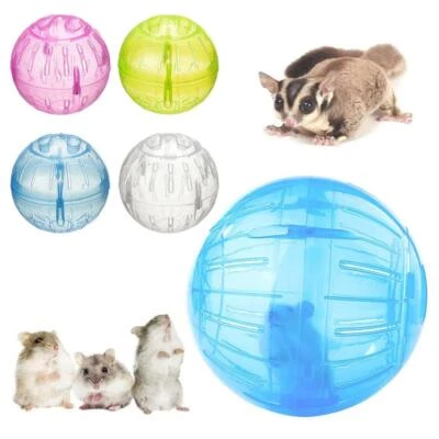 Clear Ball Hamster Ball Small Pet Running Exercise Ball Guinea Pig Playing - Bild 1 von 4