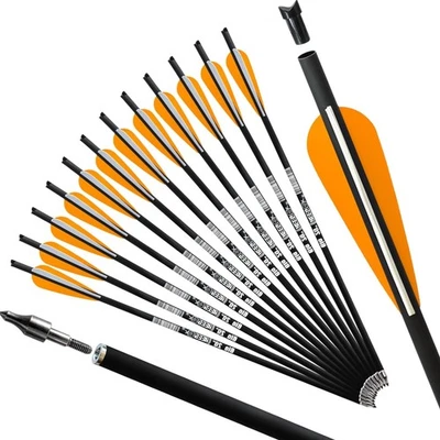 Paquete de 12 pernos de ballesta de carbono de 20 pulgadas con levas lunares puntas extraíbles Foto 1 de 4