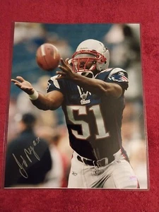 Jerod Mayo Autographed 16x20 New England Patriots Coach Photo Pristine YSMS COA - Picture 1 of 8