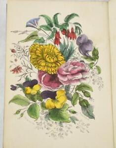 ANTIQUE VICTORIAN BOOK ILLUSTRATED LANGUAGE OF FLOWERS MRS BURKE RARE 1864 1st
