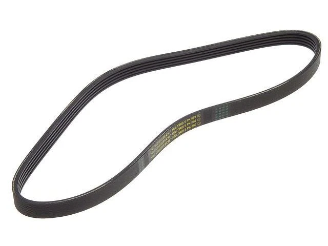 Cinturón de aire acondicionado ContiTech Multi Rib para BMW 320i 2001-2002 65KDBN Foto 1 de 1