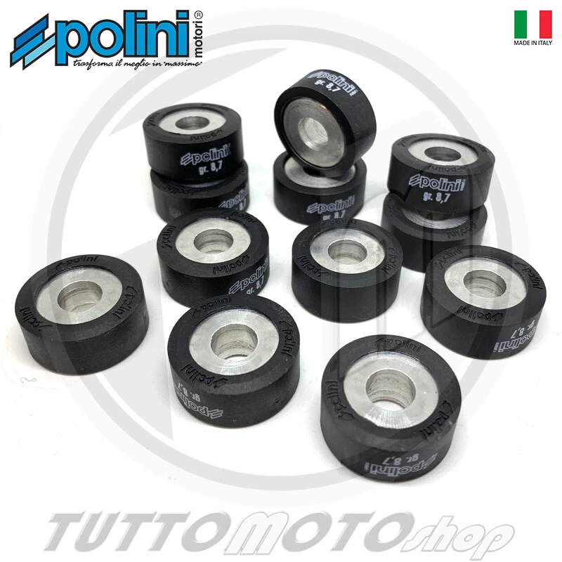 242.313 KIT 12 RULLI POLINI 25X11 gr 8,7 PER VARIATORE MAXI HI-SPEED 241.695 - Immagine 1 di 1
