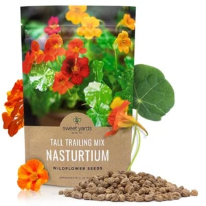 Nasturtium Seeds – Mixed Colors – Bulk Quarter Pound Bag – Over 900 Open Poll... - Picture 1 of 9