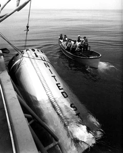 Nuova foto 8x10 NASA: recupero del 1° booster recuperato dallo spazio, Gemini V - Foto 1 di 1