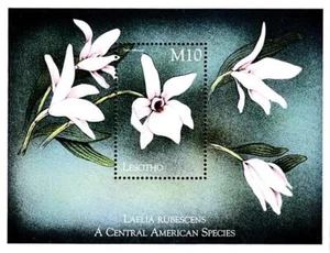 LESOTHO 1999 FLORES/ORQUÍDEAS S/S SC#1197 mnh sin montar 💲envío gratuito💲 - Imagen 1 de 1